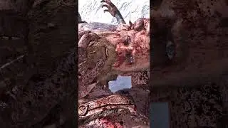 God of War's Hidden Gesture is Amazing