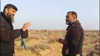 Rohi Cholistan 🌵 | Desert Life & Culture | Colors of Cholistan | Shahbaz Bahawalpuri