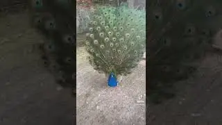 #красота