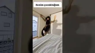 İroni ama terlik yediğimiz doğru😂#youtube #youtubeshorts #instagram #reels#tiktok #mizah #80s #fyp
