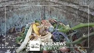 NYC community composting program could be shut down due to budget cuts