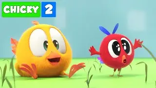 Onde est&aacute; Chicky? | CHICKY E POYO NA FAZENDA | Desenhos Animados Infantil