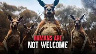 How to Survive Kangaroo Island