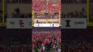 Illinois fans STORM the field after walk-off FG 🔥 #Illinois #Collegefootball