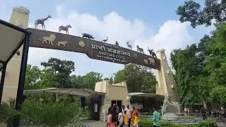 Kamala Nehru Zoo Indore Short Vlog