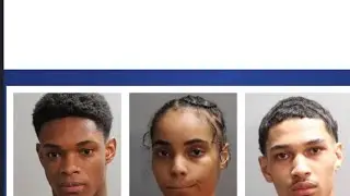 TAMPA police Arrested have been made with Julio foolio shooting