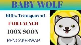 NEW  BABY WOLF TOKEN PROJECT 2021