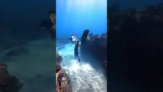 #fyp #freedivegirl #freedivelife #freedive #fpy #oahu #k #foryoupage #RayBanElevatorDance #DontSwea