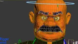 Said Facial bone And Cat Rigging
