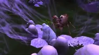 WoW: Glory gets Cocooned!