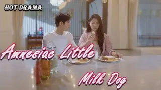 2--- Amnesiac Little Milk Dog: A collision of love and memories.