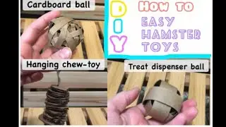 How to Make Hamster and Gerbil Toys out of Cardboard