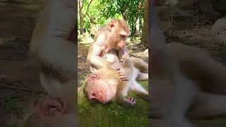 Lovely Mom Katrina Grooming Son Kenzo