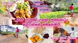 බිසී දවසක් උනත්  ලස්සනට ගත කරේ මෙහෙමයි | ලස්සන සෙනසුරාදා දවසක් 😘 Day Vlog Sinhala | Srilanka 🇱🇰 