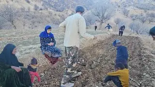 The Whole Family Joins! 🏔️ Taming the Rocky Land to Plant Our First Alfalfa 🌱💪