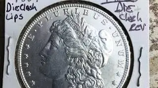 1887 Alligator eye Vam 12-a Morgan dollar