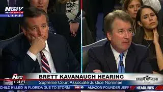 'THREAT TO PEOPLE WITH DISABILITIES': Protester disrupts Brett Kavanaugh Hearing (FNN)
