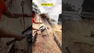 Thatched roof construction process, this retro effect is so impressive