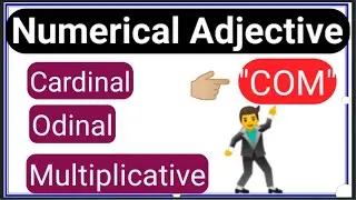 Numerical Adjective