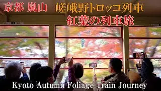 紅葉🍁の嵐山 トロッコ列車で巡る 京の都 秋色の渓谷 見ごろは12月上旬まで