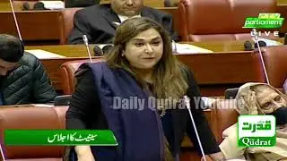 PTI Senator dr zarqa suharwardy taimur Speech In Senate Of Pakistan| Mini Budget 2021 | IMF Deal