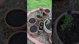 Spring Garden Tour 2023