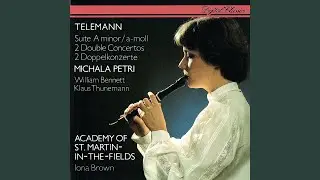 Telemann: Concerto For Recorder, Flute, Strings And Continuo In E Minor, TWV 52:e1: 2. Allegro
