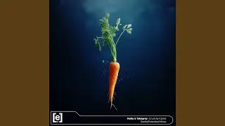 Crunchy Carrot (Radio Mix)