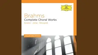 Brahms: Dreizehn Kanons Op. 113: 3. Sitzt a sch&ouml;ns V&ouml;gerl