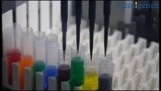 Production line of Medical Consumables