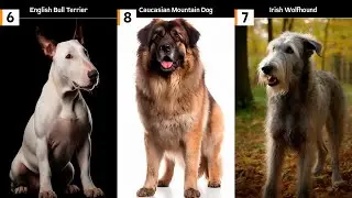 Top 10 Ugliest Dog Breeds in the World | Top 10 Midjourney