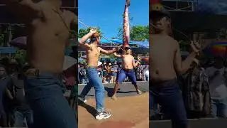 juwara nya situbondo dan  pondowoso. pakuh bumi vs bajing luncat