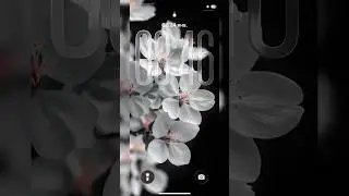 Лучше обои для вашего iPhone #wallpaper #обоинателефон #топобои #iphone #обоидлятелефона