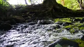 Spring brook, river  relax video