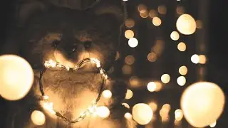 Happy teddy day new what's app status /happy teddy  bear day status
