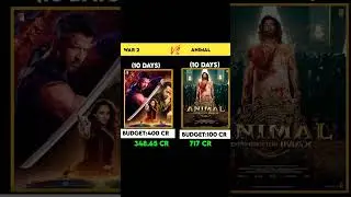 animal 10 days worldwide box office collection|war 2 10 days worldwide box office collection#shorts