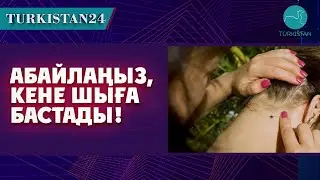 Облыста 1500 адамды кене шаққан