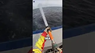 Why Ships Spray High-Pressure Water at Sea