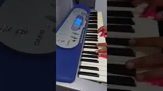 Casio LK 65 (Touch Response)