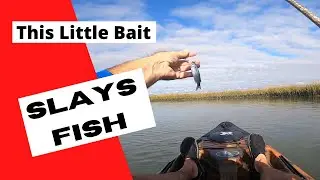 How to *RIG & FISH* Mullet to catch Meaty Flounder Inshore Saltwater Creeks of Murrells Inlet, SC