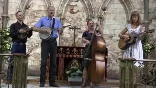 The FOGHORN STRINGBAND, 