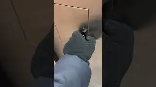 Westinghouse hydraulic elevator at Macy&rsquo;s/Ross Park Mall in Pittsburgh PA (Late New Year&rsquo;s special)￼