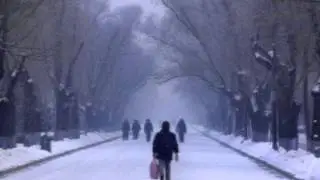 FER Y IKARO - FRIOS COMO EL HIELO
