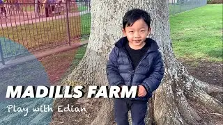 Playgrounds in Auckland - Madills Farm Reserve