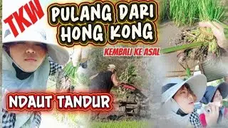 TKW HONGKONG CUTI TANDUR NDAUT |KENUT BMI HONGKONG 