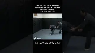 Shindenfudo Ryu Technique 4 #shorts #ninja #samurai #martialarts