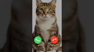 ABDULLAH INCOMING CALL 📱📞 #ai #cat #shorts #viralshort