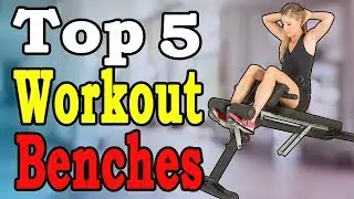 Top 5 Best Workout Benches in 2020