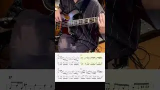 Muted 69's Fender Jazz Bass  #bassline #funk  #fenderjazzbass  #bass