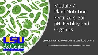 Module 7   Plant Nutrition